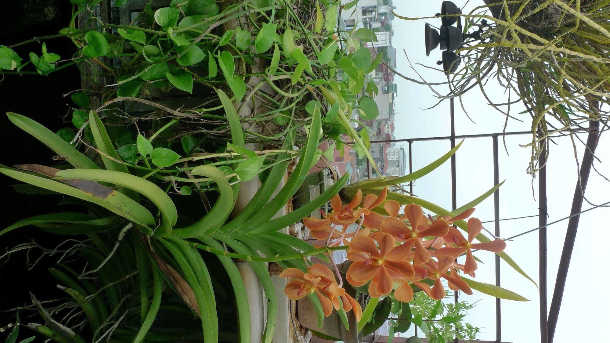 Hotel Garden Queen Hanoi Zewnętrze zdjęcie